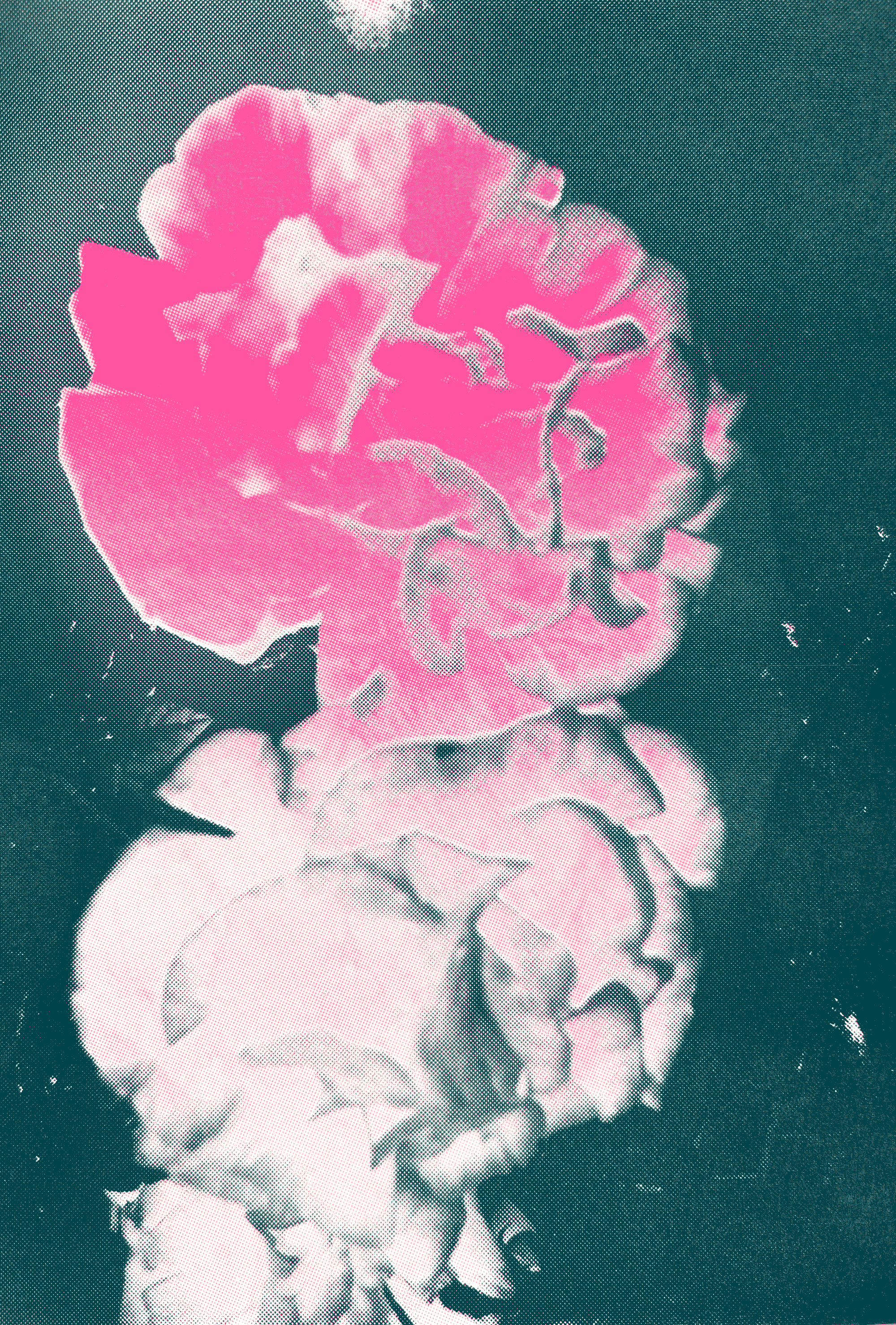 risograph bloem